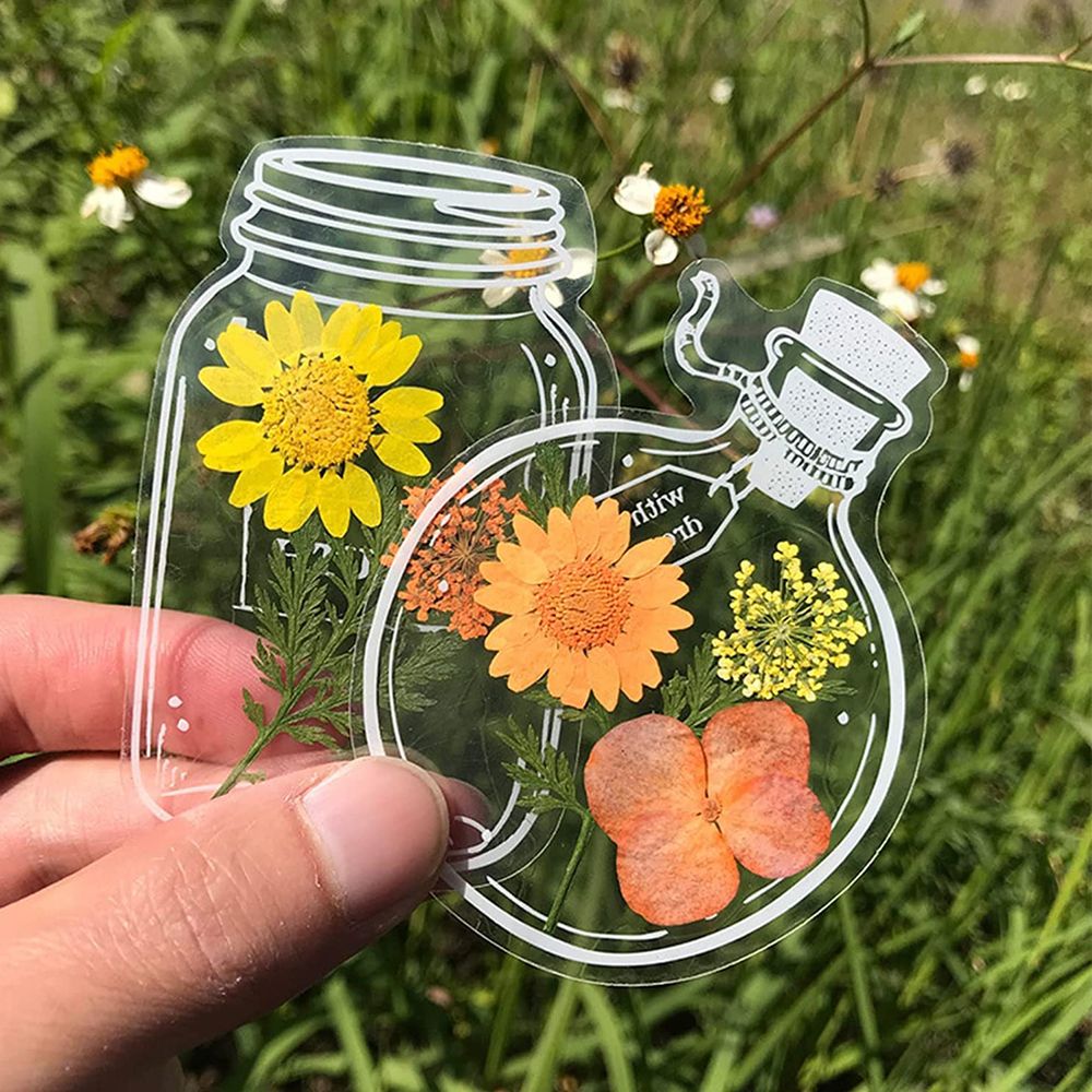 20 Peças DIY Marcadores de Liv - Dried Flower Bookmark avaliação e preço